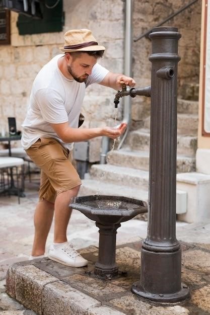 water fountain manual